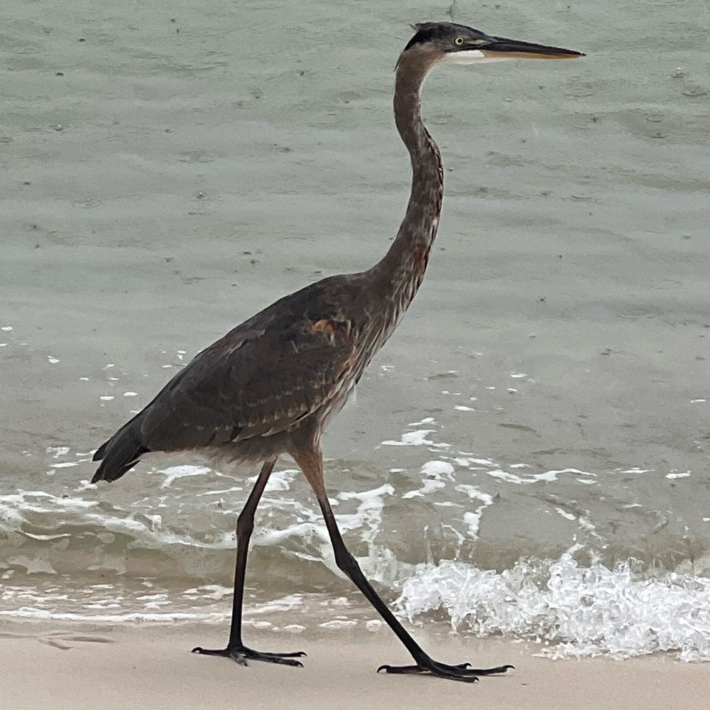 Send me an offer - anything in my closet is negotiable